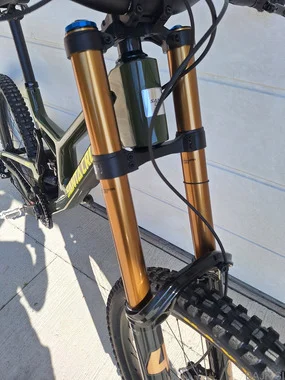 Santa cruz v10