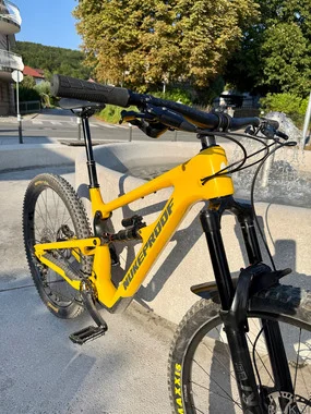 Nukeproof mega 290