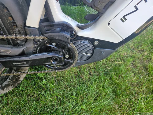 Intense Tazer MX