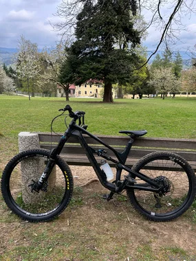 Canyon spectral Al 6.0 2020