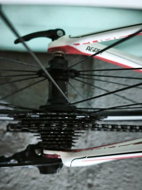 Cube Agree GTC Race