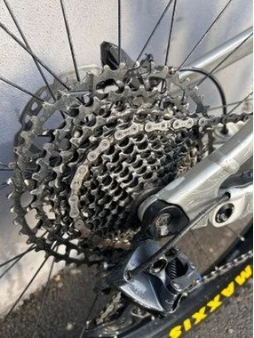 Scott Ransom 920 XL – 2020