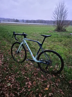Canyon Inflite CF SL 5