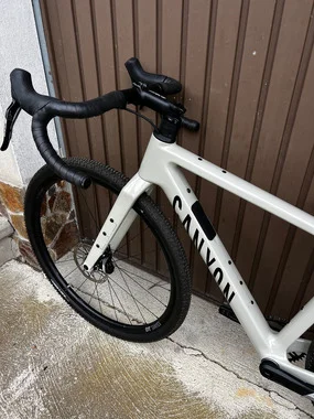 Canyon grizl