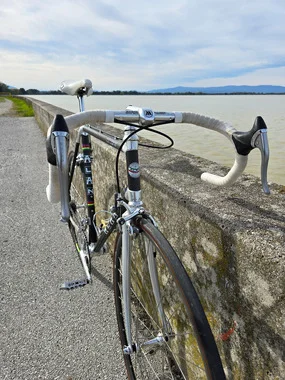 ALAN r30 carbonio