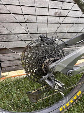 YT CAPRA AL BASE 29 col. 2019,