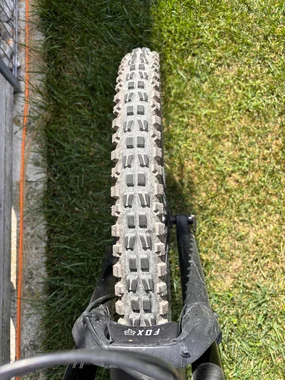 YT CAPRA AL BASE 29 col. 2019,