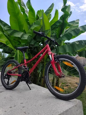 Specialized 20 col