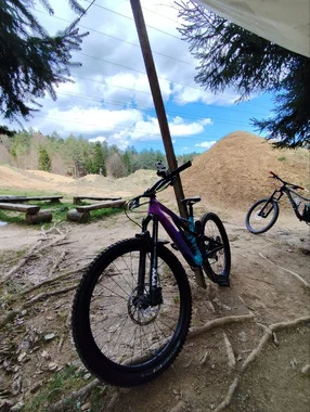 Specialized Stumpjumper Comp Carbon LTD Mixtape