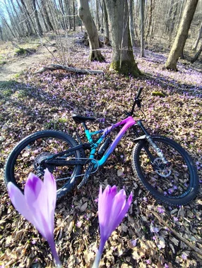Specialized Stumpjumper Comp Carbon LTD Mixtape