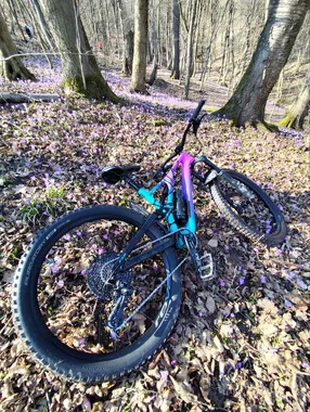 Specialized Stumpjumper Comp Carbon LTD Mixtape