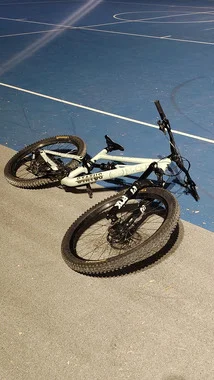 Specialized Status 160