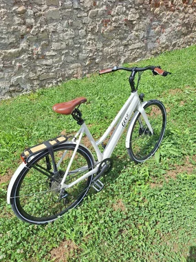 Je vends un vélo électrique Geero- comme NEUF !!