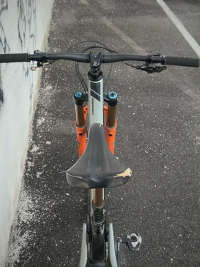 Pivot FIREBIRD M 2024