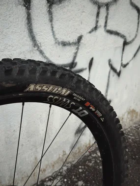 Pivot FIREBIRD M 2024