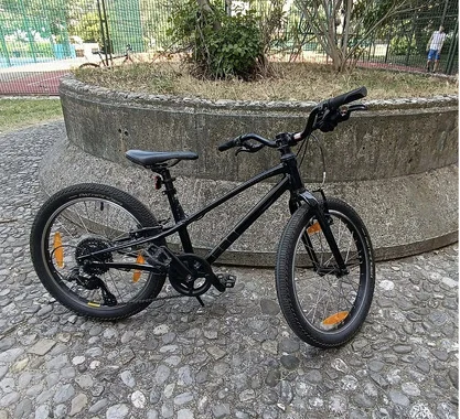 Specialized Jett 20 (Multispeed)