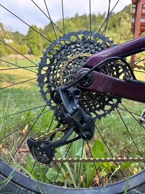 Orbea rallon custom – možná výměna