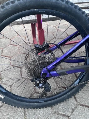 Giant reign SX 2021