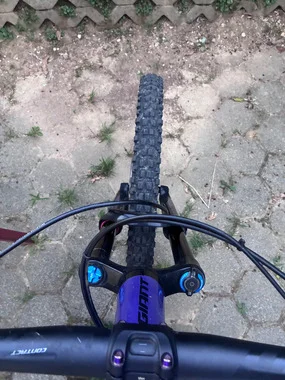 Giant reign SX 2021