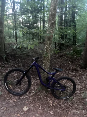 Giant reign SX 2021