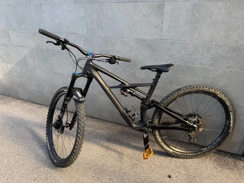 Specialized Enduru
