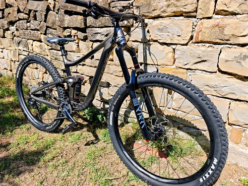 Giant Reign 29 2, S okvir, 2025