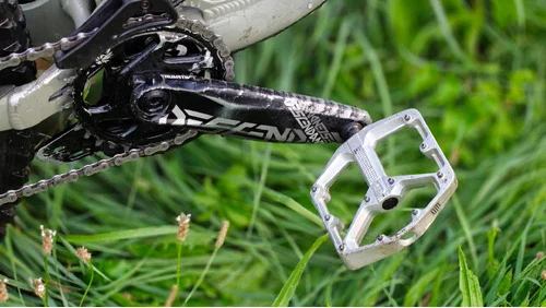 Transition Patrol GX 2019 custom