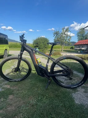 Bergamot e-revox expert 2023 kot NOV