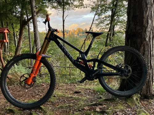 Canyon Sender CF