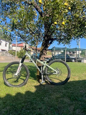 Specialized p3