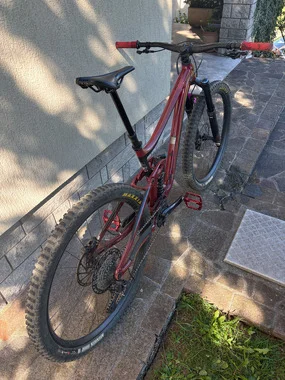 Giant Reign SX 29 2020