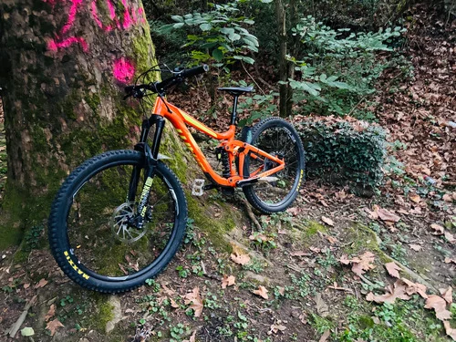 Giant reign sx 2018