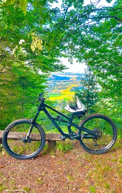 Canyon Spectral Cf 7 2022