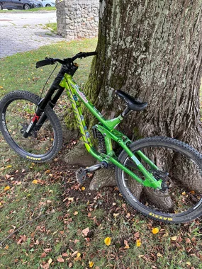 Norco Aurum 2023 custom made