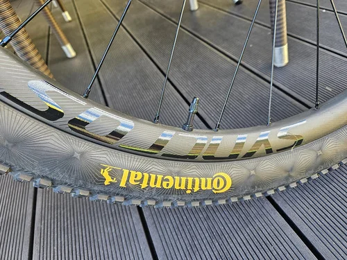 Syncros Silverton 1.0