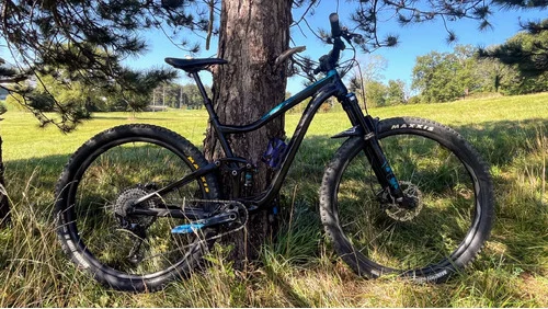 Kombo Giant Trance 29 + Dartmoor Hornet