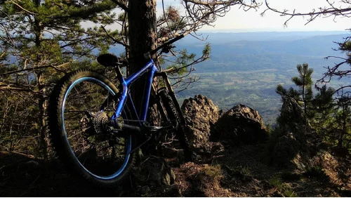 Kombo (2 kola) Giant Trance 29 + Dartmoor Hornet