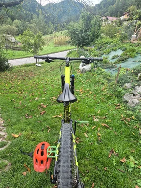 specialized evo 29