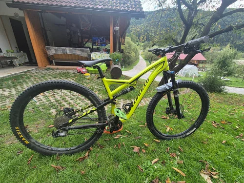 specialized evo 29