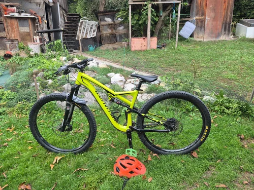specialized evo 29
