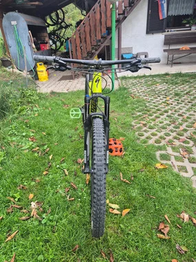specialized evo 29