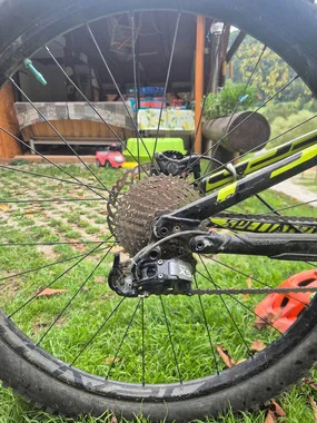 specialized evo 29