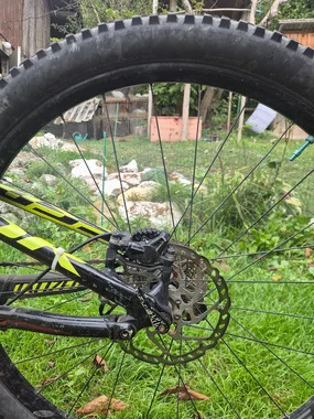 specialized evo 29