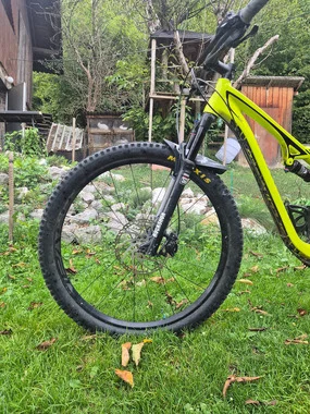 specialized evo 29
