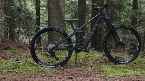 Canyon Strive CFR Underdog
