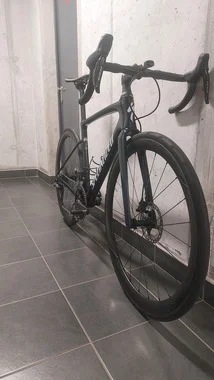 Specialized Roubaix Comp