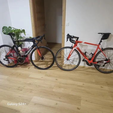 wilier XL