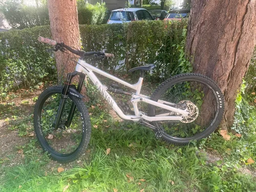 Canyon Torque 29 AL 5, letnik 2023, velikost M