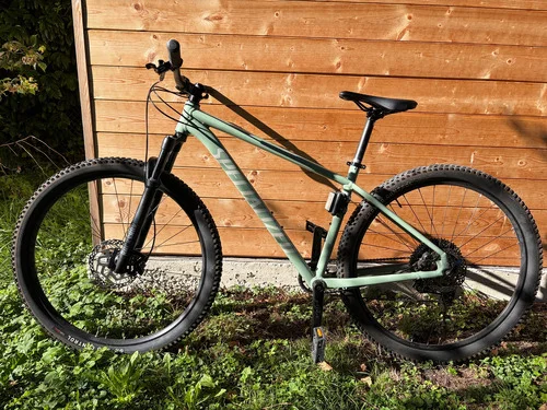 Specialized Rockhopper Comp 29