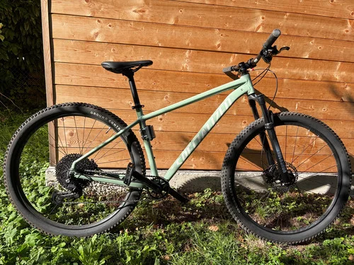 Specialized Rockhopper Comp 29